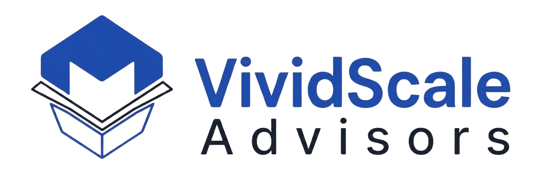 VividScale Advisors